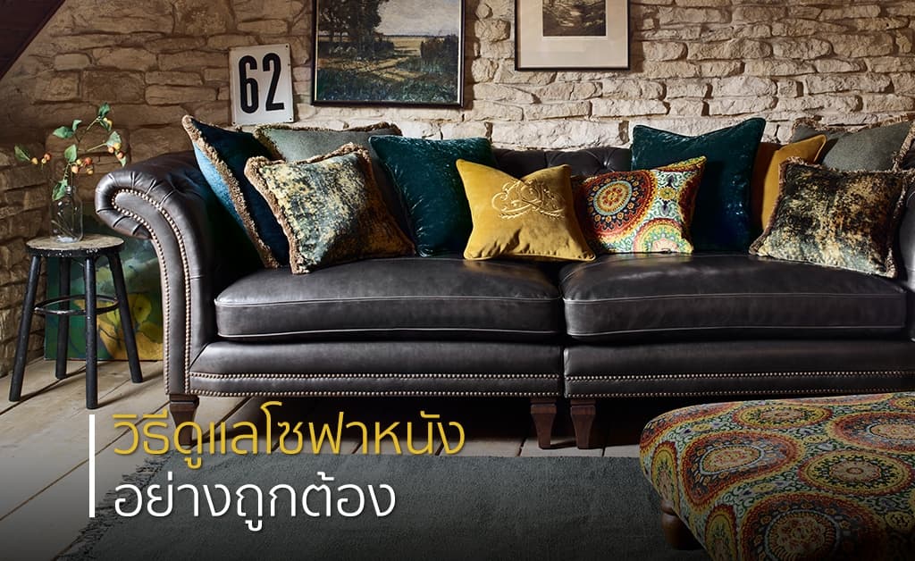 ขั้นตอนการทำความสะอาดโซฟาหนัง พร้อมวิธีการดูแลที่ถูกต้อง